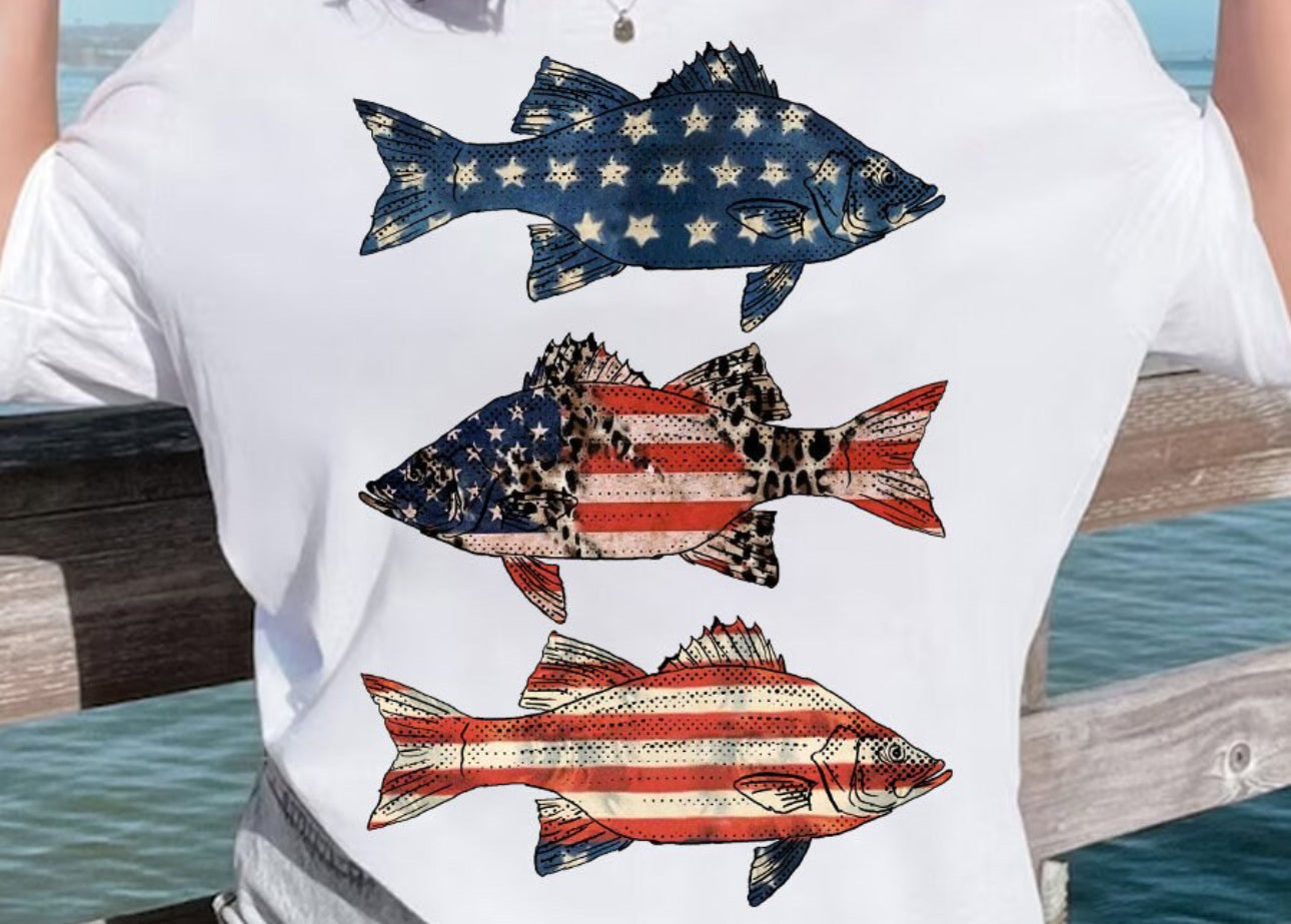 America fishes